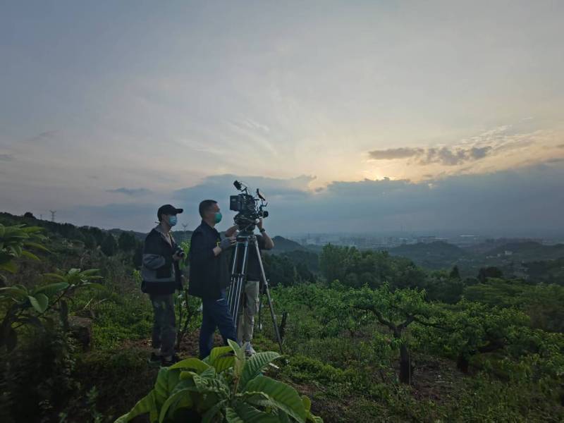 创意破圈！沭阳县电商产品宣传视频用故事化叙事引爆流量