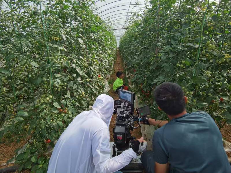 沭阳县产品宣传视频拍摄公司进阶指南，助力品牌抢占传播高地